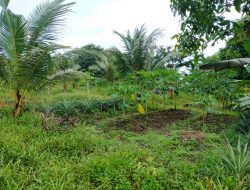 Beberapa kali Berpindah-Pindah, Bupati Bintan Diminta Untuk Meninjau Kembali Lahan TPU Di Sungai Jago