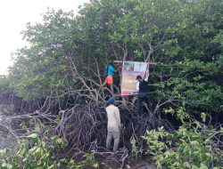 Terkait Pulau Potoh Dijual, Tanah Warga di Ganti Rugi Tanpa Ada Kejelasan, Surat Tanah Warga Diambil Aparat Desa