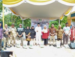 Gubernur Ansar Menyerahkan Bantuan Pangan Cadangan Beras Pemerintah Tahap II untuk Warga Sekupang