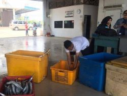 Kongkalikong Pengusaha Ikan dan Dinas Perikanan Bintan Mulai Terkuak