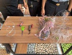 Percobaan Masuk Barang Terlarang di Lapas Narkotika Tanjungpinang, Petugas Gagalkan Ini