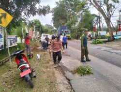 Banyak Aduan Warga, Pemerintah Kecamatan Bintan Timur Tambal Jalan Berlubang