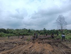 Program Hanpangan TMMD Ke – 119 Kodim 0315/Tanjungpinang Sebagai Wujud Pemberian Edukasi Kepada Warga