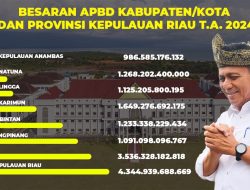 Cara Gubernur Ansar Mencegah Ketimpangan Pembangunan di Tengah Minimnya Anggaran