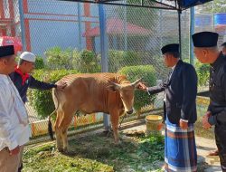 Peringati Idul Adha, Kalapas Edi Serahkan Tiga Sapi dan Empat Kambing untuk Dikurban
