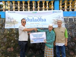 Idul Adha 2024, Pelindo Salurkan 201 Ekor Sapi Kurban