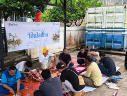 PT Pelabuhan Indonesia (Persero) Regional 1 Tanjungpinang  Salurkan dan Melaksanakan Pemotongan Sapi Kurban