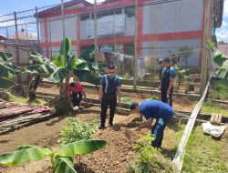Lapas Narkotika Lakukan Pembinaan Kemandirian WBP di Bidang Agribisnis