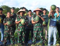 Korem 033/WP berhasil melaksanakan Panen Raya ke 2 di Teluk Bakau Bintan