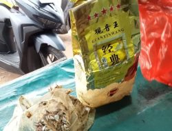 Warga Temukan Sabu 1 Kg di Pinggiran Pantai Desa Malang Rapat