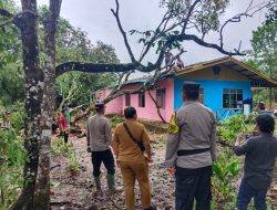 Polsek Bintan Timur Evakuasi Pohon Tumbang yang Menimpa Rumah Warga
