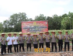 Polres Bintan Panen Raya Jagung Manis, Dukung Ketahanan Pangan