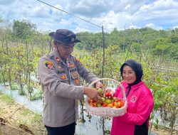 Dukung Asta Cita, Polsek Tanjungpinang Kota Polresta Tanjung Pinang Manfaatkan Lahan Kosong Menjadi Pekarangan Pangan Lestari