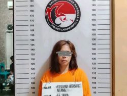 Tidak Pandang Bulu, Satres Narkoba Polres labuhanbatu Tangkap Wanita Cantik, Diduga Pengedar Narkotika Jenis Sabu