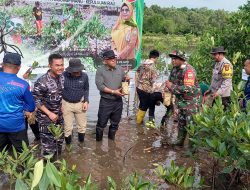 Penataan RTH, 5.000 Mangrove Ditanam di Laboratorium Alami SMPN 10 Tanjungpinang
