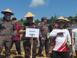 Kejati Kepri Tanam Jagung di Rempang, Dorong Ketahanan Pangan Lewat Program Jaksa Mandiri Pangan