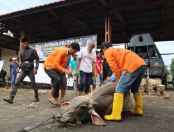 Polresta Tanjungpinang Sembelih 6 Ekor Hewan Kurban, Idul Adha 1446 H