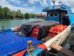 Apa Tugas dan Fungsi KSOP Kelas III Kijang, Pelabuhan Tidak Memiliki Dokumen Lengkap Kenapa Bisa Bebas Beraktivitas