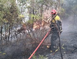 Kebakaran Lahan Dekat Pemukiman di Tanjungpinang Berhasil Dikendalikan