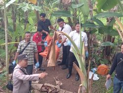 Pria Ditemukan Tewas di Hutan Wiratno, Warga Gang Logistik Geger