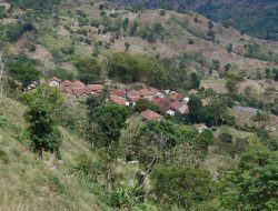 Reforma Agraria Buka Akses Warga Desa Nunuk Baru untuk Jalankan Usaha Ternak Domba