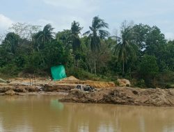 Siapa Dalang di Balik Pasir ilegal Dibintan