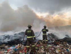 Panen Raya Jagung Pipil di Tanjungpinang Timur, Polresta Tanjungpinang Petik Hasil 1 Ton
