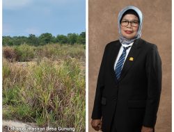 Persoalan Lahan di Masiran, Nama Mariana Anggota DPRD Bintan Disebut menjual ke PT BAI
