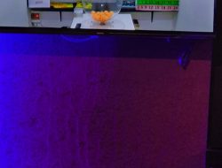 Majesty KTV Menyediakan Judi Pimpong Dan Kamar Eksekusi Syahwat