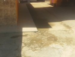 Daging Beku Milik TM Diduga Tidak Memiliki Izin