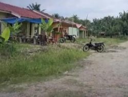 BBG memiliki lokasi titik peredaran Narkoba di kawasan Perkebunan HSJ, Warga Desak Aparat penegak hukum Tangkap Bandarnya