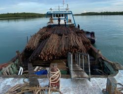 Ditpolairud Polda Kepri Gagalkan Penyelundupan 12.000 Batang Kayu Bakau ke Singapura