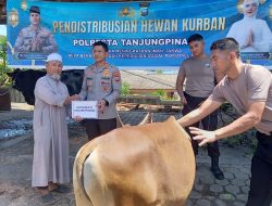 Polresta Tanjungpinang Kurban 14 Sapi dan 7 Kambing untuk Masyarakat