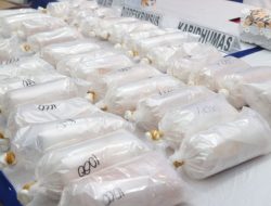 Polda Kepri Tangkap Dua Pelaku Penyelundupan 100 Ribu Benih Bening Lobster