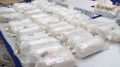Polda Kepri Tangkap Dua Pelaku Penyelundupan 100 Ribu Benih Bening Lobster
