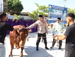 Kapolres Labuhanbatu Serahkan Hewan Qurban Bantuan Kapolda Sumut untuk Ponpes Modern Al Azhar Asy-Syarif Labuhanbatu dan MUI di Labuhanbatu dan Labura