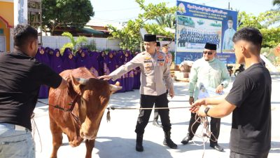 Kapolres Labuhanbatu Serahkan Hewan Qurban Bantuan Kapolda Sumut untuk Ponpes Modern Al Azhar Asy-Syarif Labuhanbatu dan MUI di Labuhanbatu dan Labura