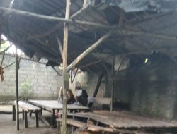 “Resahkan warga, Peredaran narkoba di Pulo Padang semakin subur Menjamur, warga Desak APH Melakukan Tindakan