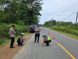Pengendara Jupiter Z Tewas dalam Kecelakaan Tiga Kendaraan di KM 50 Sri Bintan