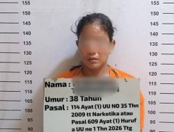 Berusaha Buang Barbut, Wanita Ini di Tangkap Satnarkoba polres Labuhan batu