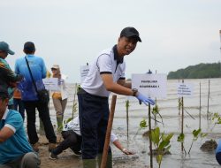 Koarmada I Dukung Penanaman Mangrove Serentak Peringati Hari Mangrove Sedunia 2026 di Kepri
