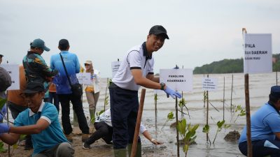 Koarmada I Dukung Penanaman Mangrove Serentak Peringati Hari Mangrove Sedunia 2026 di Kepri