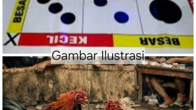Perputaran Uang Hingga Ratusan Juta, Siapa Yang Membekingi Judi Dadu Cengkoko di Gelanggang Ayam KM 15