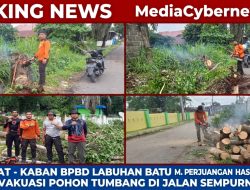 Siaga Cepat, Kaban BPBD Labuhanbatu Pimpin Langsung Evakuasi Pohon tumbang Di Jalan Sempurna SM.Raja Rantauprapat