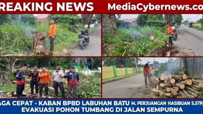 Siaga Cepat, Kaban BPBD Labuhanbatu Pimpin Langsung Evakuasi Pohon tumbang Di Jalan Sempurna SM.Raja Rantauprapat